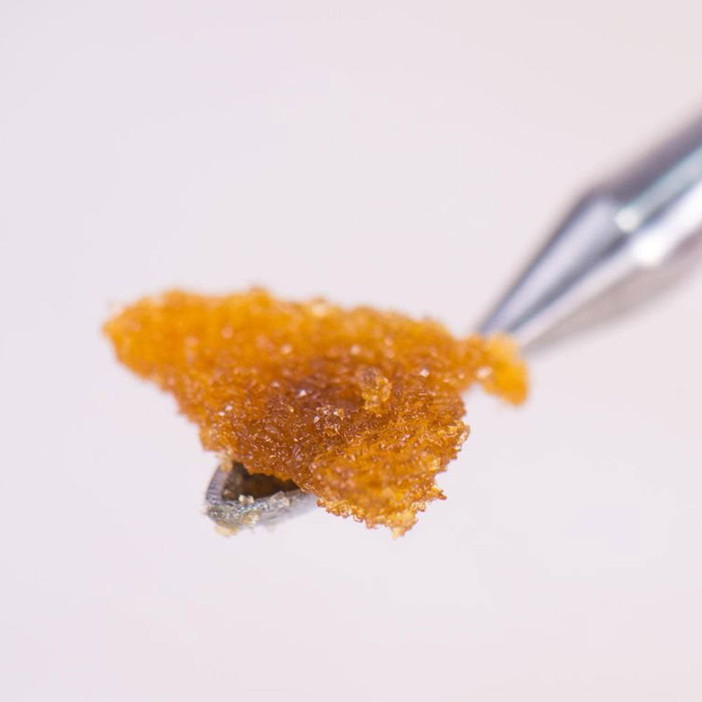 Cannabis wax on a dabbing tool