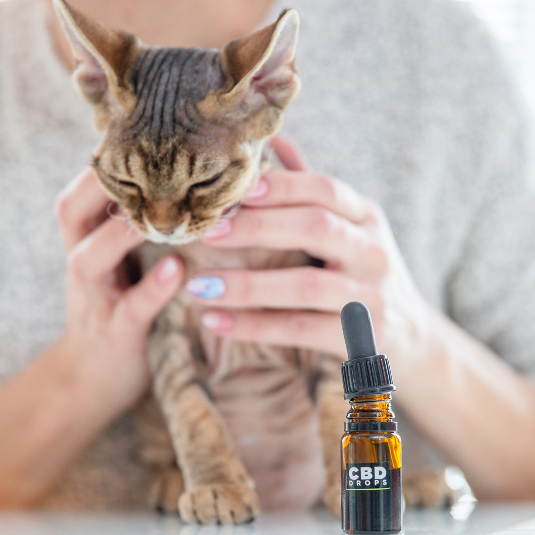 Person holding a cat next to CBD drops tincture