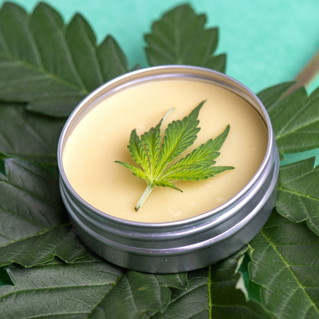 Hemp leaf and hemp wax