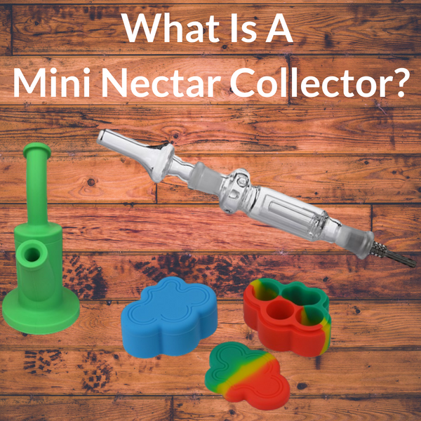 What Is A Mini Nectar Collector