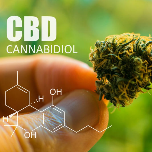 What Is CBD?