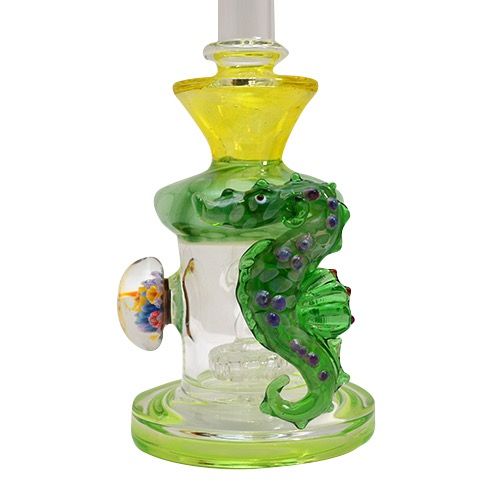 Seahorse Dab Rig Up Close View