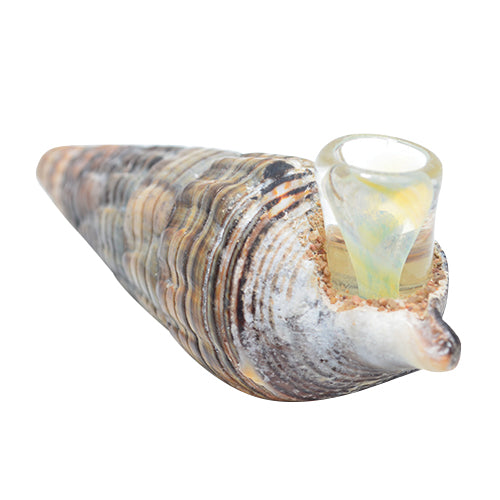 Seashell Spoon Pipe 